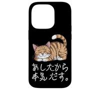 Lazy Cat giapponese Hiragana & Kanji lo farò domani carino Custodia per iPhone 14 Pro