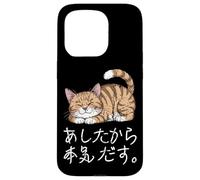 Lazy Cat giapponese Hiragana & Kanji lo farò domani carino Custodia per iPhone 15 Pro