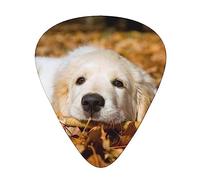 Lazy Dog Puppy Plettri per chitarra, accessori per chitarra, confezione da 12 plettri per basso artistico, sottili, medi e pesanti, 3 misure per ukulele