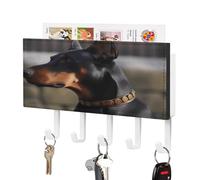 LBKHDS Portachiave a parete,Dobermann Stampa Key Hanger Montaggio a parete,Supporto per posta a parete,Organizzatore di posta con ganci