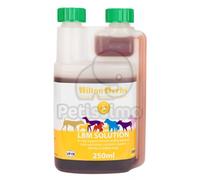 LBM solution soluzione di supporto della vescica 250 ml