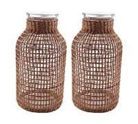 Lbvzxkad 2X Vaso da Fiori nel Vetro Paglia Vaso da Fiori Giapponese nel Nordico Cesto di Fiori Contratto per Piante Acquatiche -L