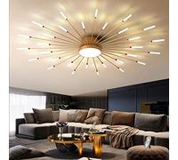 LCHJX Lampadario lampadario, Moderni fuochi d'artificio Lampada Lampada a LED, Lampada Lampadina a soffitto a LED Lampada Il lampadario Compatibile con Il Soggiorno in Studio Camera da Letto per la