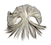 Lckiioy Clip spessa di lusso e standard nelle estensioni Full Color Head: 8/613 - /Bleach Blond Lunghezza: 16 pollici