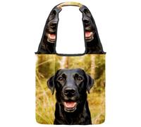 lcndlsoe Borsa tote in tela, motivo: coccinelle con ombrello verde, borsa a tracolla da donna, per lavoro, shopping, palestra, Multicolore 3, 14.1x14.9in/36x38cm