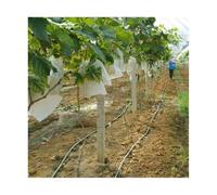 LCUVIMPEX Sacchetti per la Protezione della Frutta, Sacchetti di Protezione in Rete for Frutta e Verdura, Confezione da 100(30x36cm)