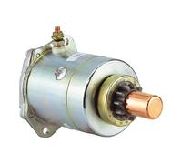 LCYIYIOU 11 Denti 179116 Compatibile con Piaggio Compatibile con Vespa PK50 PK125 Ape 50 37034 OEM 179116 1791165, 113.008997 Compatibile con Paggio Ape 50 80 125