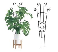 Ldbuejiaja Estensibile, resistente alla ruggine, assistente verticale per la crescita delle piante, in metallo, per il giardinaggio su terrazza/balcone, confezione da 2