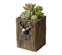 Ldbuejiaja Vasi per piante grasse, vasi per piante grasse, vasi creativi, multifunzionali, per giardini di casa, terrazze, accessori durevoli, in resina