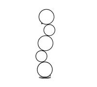 LDCBFTR Lampada da Terra ad Anello Lampada da Terra a LED Lampada da Terra Luce Alta per Soggiorno, Camera da Letto e Ufficio Lampada Stand Up (Colore : Nero, Modello : Five Rings)