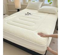 LDLCYCN Bianca,200x220cm, Protezione Materasso Regina King Size Spessore Velluto di Agnello Copertura Materasso Copertura Letto A Prova di Polvere per l'inverno Tasca Profonda di 11In