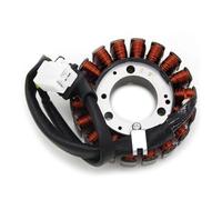 LDUTIU Bobina Accensione Moto Generatore Statore Bobina per CB250 per H&ornet 250 per JADE250 per CBR250 MC19 MC22 CB-1 CB 400 F per CBR400 31120KEA000 NC23 NC29