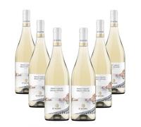 Le Altane Pinot Grigio delle Venezie DOC - Vino Bianco, 6 bottiglie
