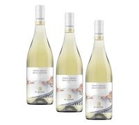 Le Altane Pinot Grigio delle Venezie DOC - Vino Bianco, 750 ml (Confezione da 3)