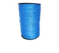 LE ANTICHE MERCERIE Cordoncino Thai Per Borse All'uncinetto Rocca 500gr Vari Colori Turchese 18 Polipropilene