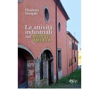 Le attività industriali sul monte Amiata - Mangani Elisabetta