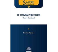 Le attività pericolose. Danni e risarcimenti