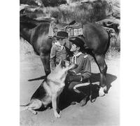 Le Avventure Di Rin Tin Tin Poster Stampa 24x20"