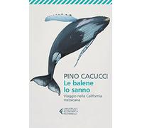 Le balene lo sanno. Viaggio nella California messicana