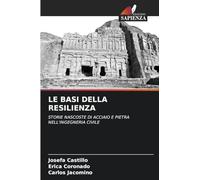 LE BASI DELLA RESILIENZA: STORIE NASCOSTE DI ACCIAIO E PIETRA NELL'INGEGNERIA CIVILE