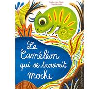 Le caméléon qui se trouvait moche