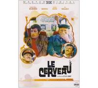 Le cerveau