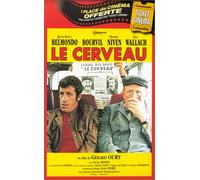 Le cerveau