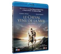 Le cheval venu de la mer