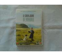Le chien jaune de mongolie