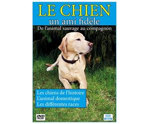 Le chien, un ami fidèle : de l'animal sauvage au compagnon