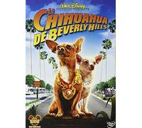 Le chihuahua de beverly hills