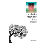 Le ciel l'a mauvaise