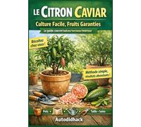 Le Citron Caviar : Culture Facile, Fruits Garanties - Le guide concret balcon/terrasse/intérieur