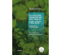Le colline moreniche del Friuli. Laghi, torbiere e zone umide. Riflessioni sul «terzo paesaggio»