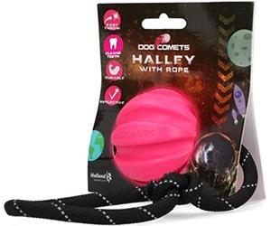 Le comete del cane Halley incontrarono Touw Roze