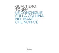 Le conchiglie sulla collina nel mare che non c'è