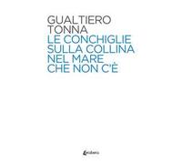 Le conchiglie sulla collina nel mare che non c'è