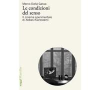 Le condizioni del senso. Il cinema sperimentale di Abbas Kiarostami
