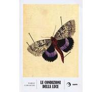 Le condizioni della luce