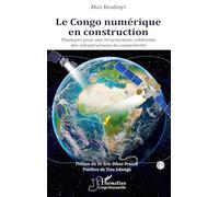 Le Congo numérique en construction: Plaidoyer pour une structuration cohérente des infrastructures de connectivité