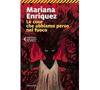 Le cose che abbiamo perso nel fuoco