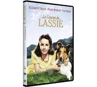 Le courage de lassie
