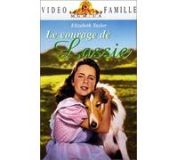 Le courage de lassie