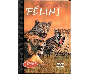 Le défi entre félins - Livre DVD