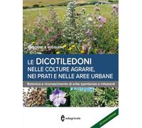 Le dicotiledoni nelle colture agrarie, nei prati e nelle aree urbane. Botanica e riconoscimento di erbe spontanee e infestanti