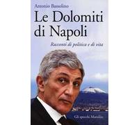 Le Dolomiti di Napoli. Racconti di politica e di vita