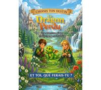 Le dragon perdu: une aventure où tes choix changent l'histoire