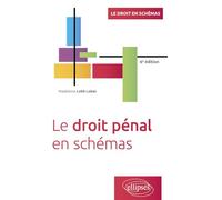 Le droit pénal en schémas