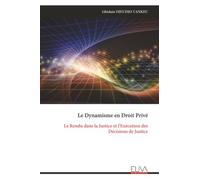 Le Dynamisme en Droit Privé: Le Rendu dans la Justice et l'Exécution des Décisions de Justice