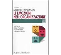 Le emozioni nell'organizzazione. Il potere delle passioni nei contesti organizzativi